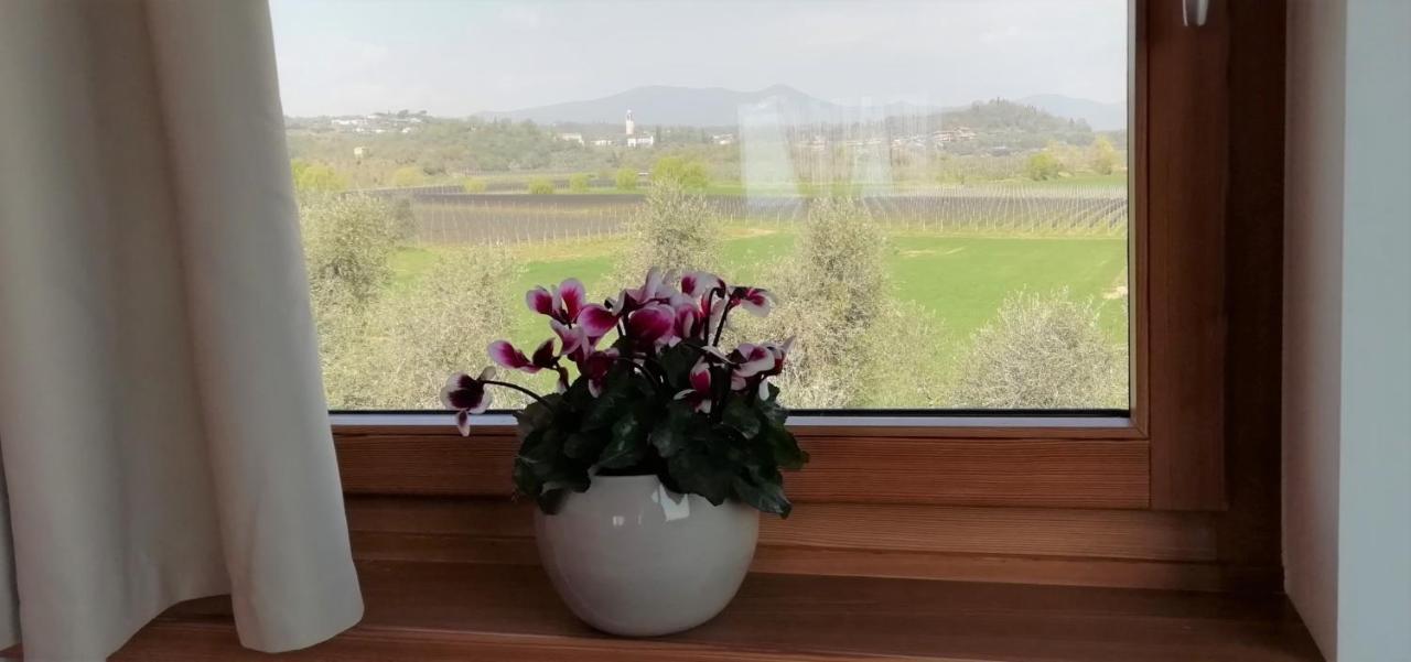 Agriturismo Fioralba โปลเปนาซเซ เดล การ์ดา ภายนอก รูปภาพ