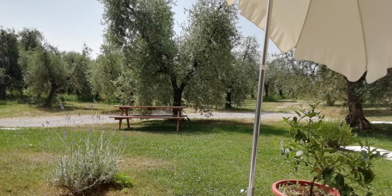 Agriturismo Fioralba โปลเปนาซเซ เดล การ์ดา ภายนอก รูปภาพ