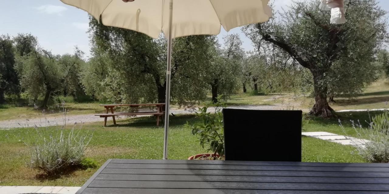 Agriturismo Fioralba โปลเปนาซเซ เดล การ์ดา ภายนอก รูปภาพ