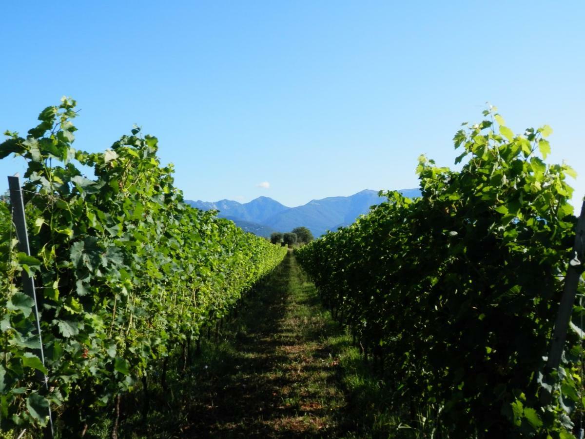 Agriturismo Fioralba โปลเปนาซเซ เดล การ์ดา ภายนอก รูปภาพ